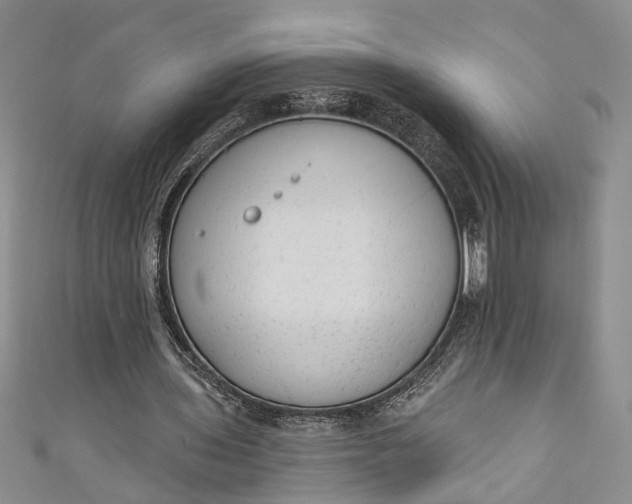 X0000110860435200907021419