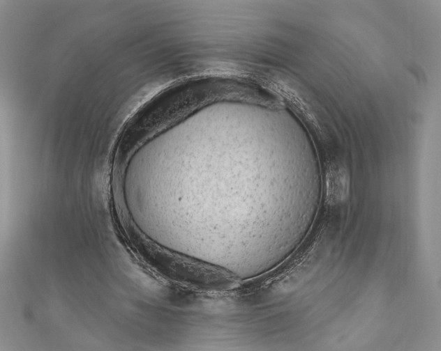 X0000110860436200907021419