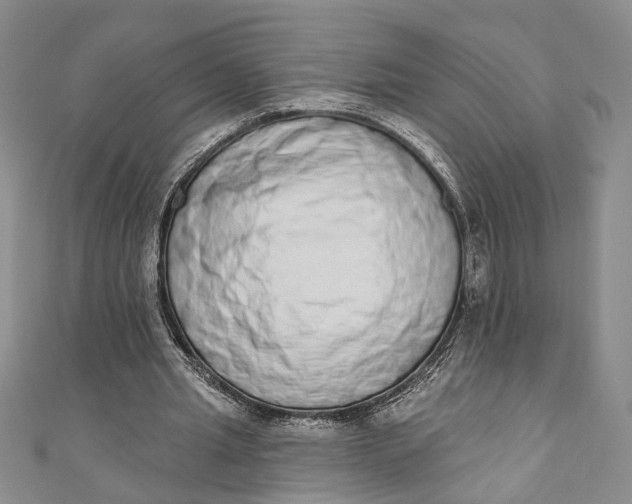 X0000110860437200907021419