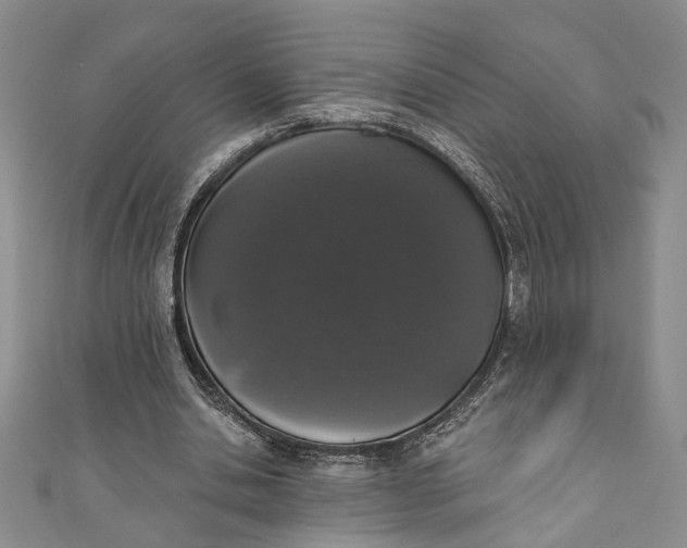 X0000110860438200907021419