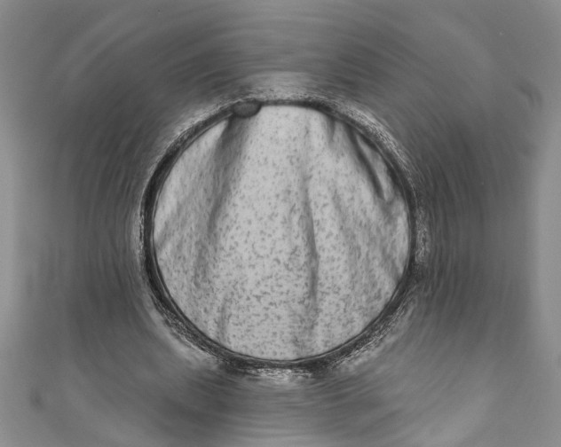 X0000110860439200907021419