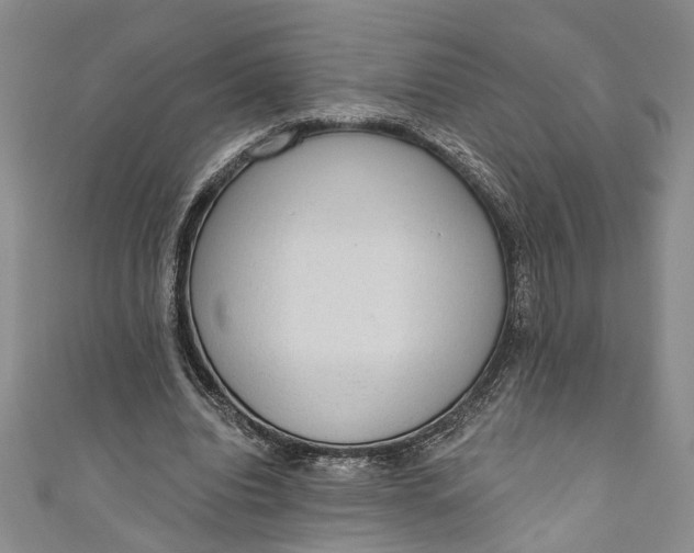 X0000110860440200907021419