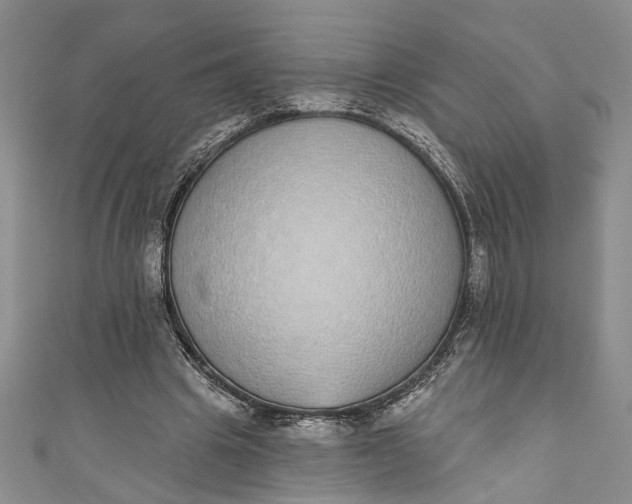 X0000110860441200907021419