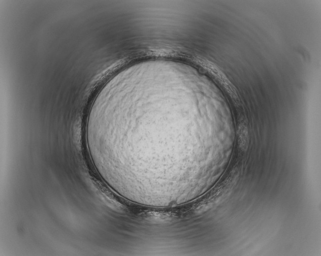 X0000110860442200907021419