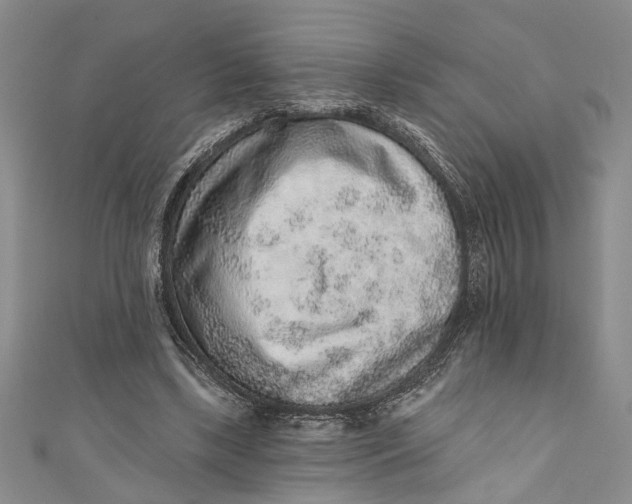 X0000110860443200907021419