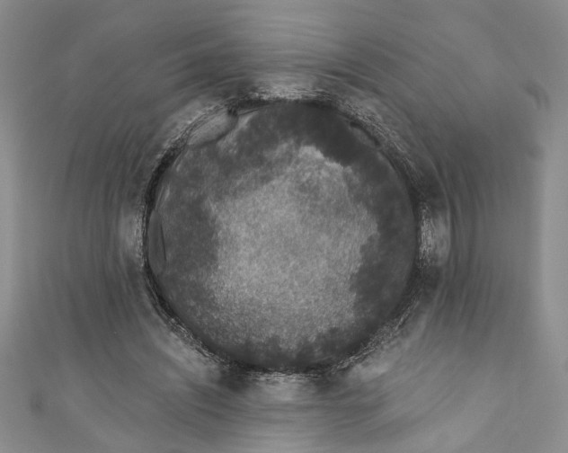 X0000110860444200907021419