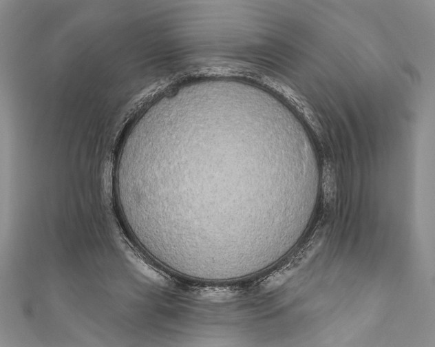 X0000110860445200907021419