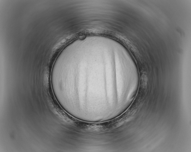 X0000110860446200907021419