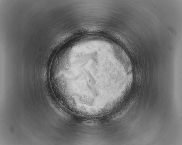 X0000110860447200907021419