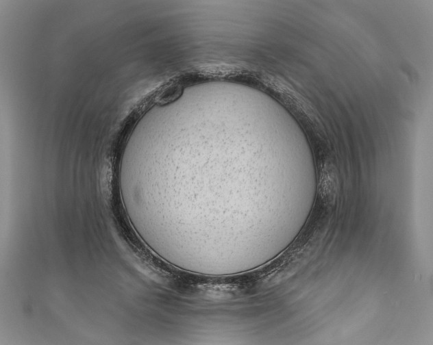 X0000110860448200907021419