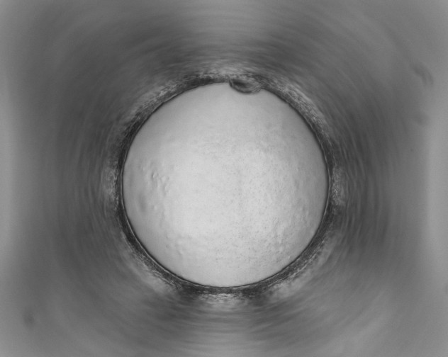 X0000110860449200907021419