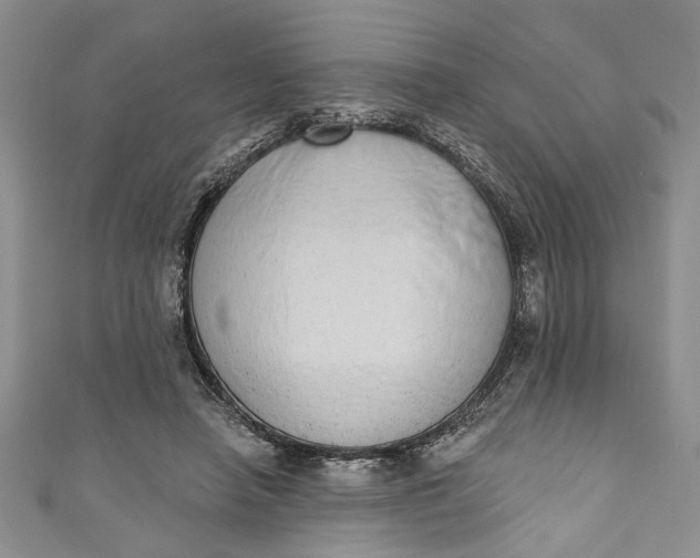 X0000110860450200907021419