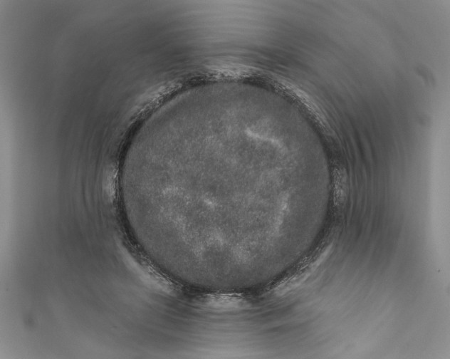 X0000110860451200907021419