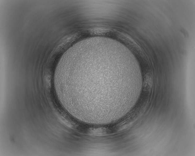 X0000110860452200907021419