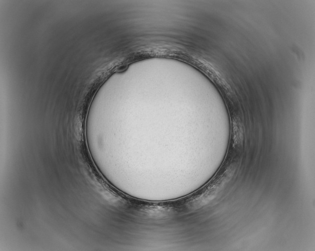 X0000110860453200907021419