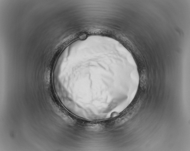 X0000110860454200907021419