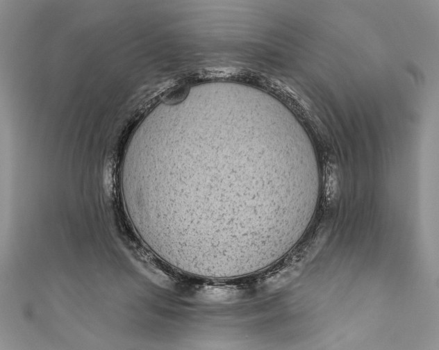 X0000110860455200907021419