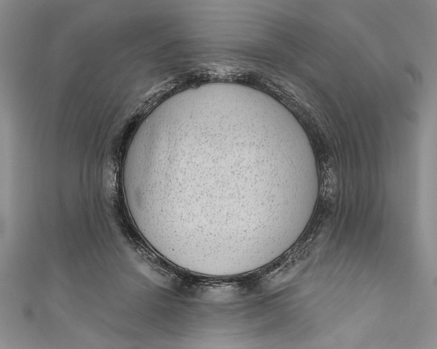 X0000110860456200907021419