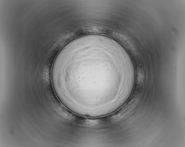 X0000110860457200907021419