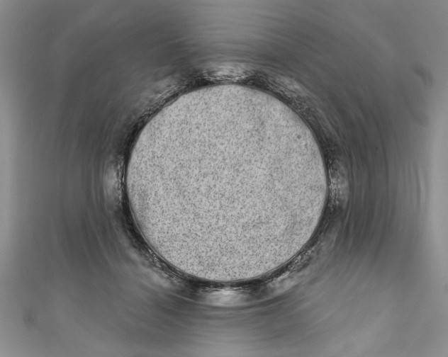 X0000110860460200907021419