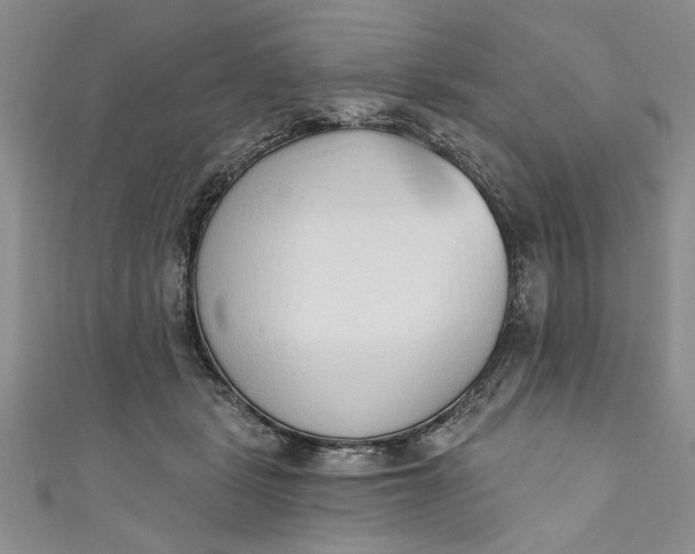 X0000110860461200907021419