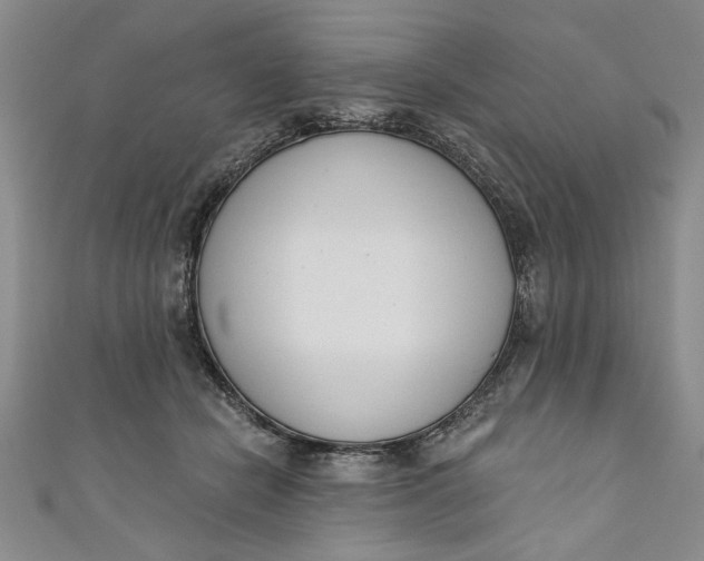 X0000110860462200907021419