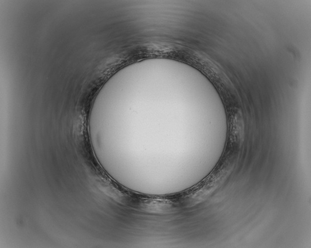 X0000110860463200907021419