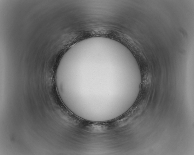 X0000110860464200907021419