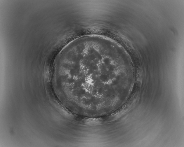 X0000110860465200907021419