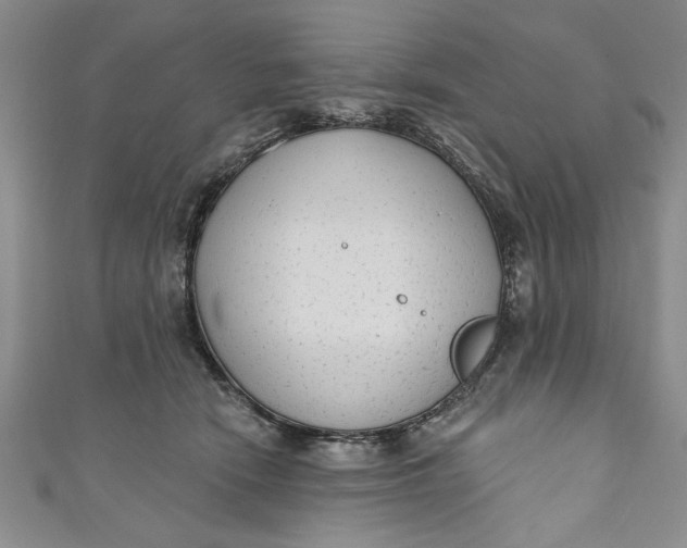 X0000110860466200907021419