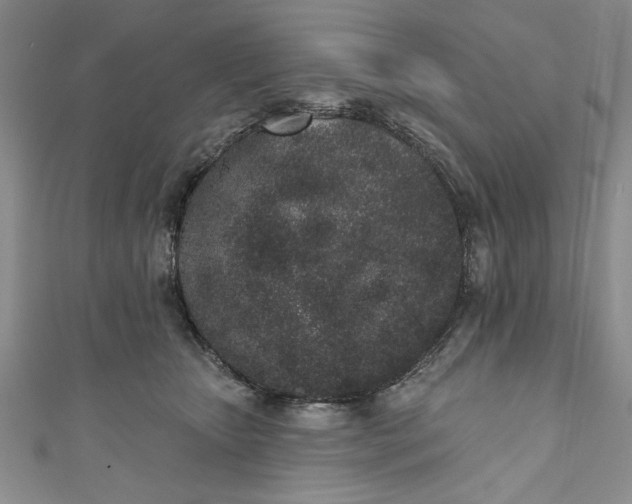 X0000110860467200907021419