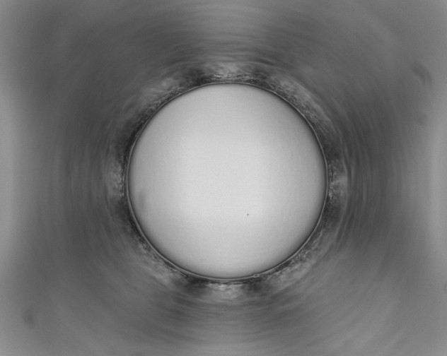 X0000110860469200907021419