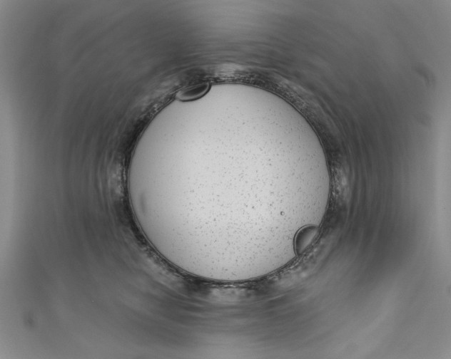 X0000110860470200907021419