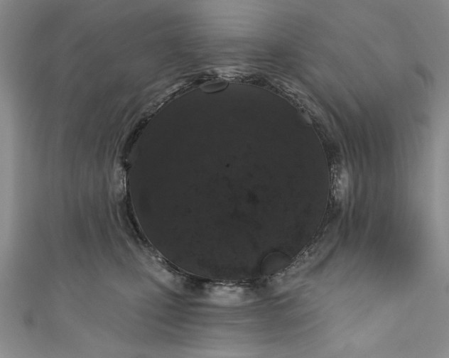 X0000110860471200907021419