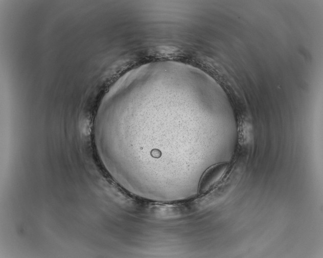 X0000110860472200907021419