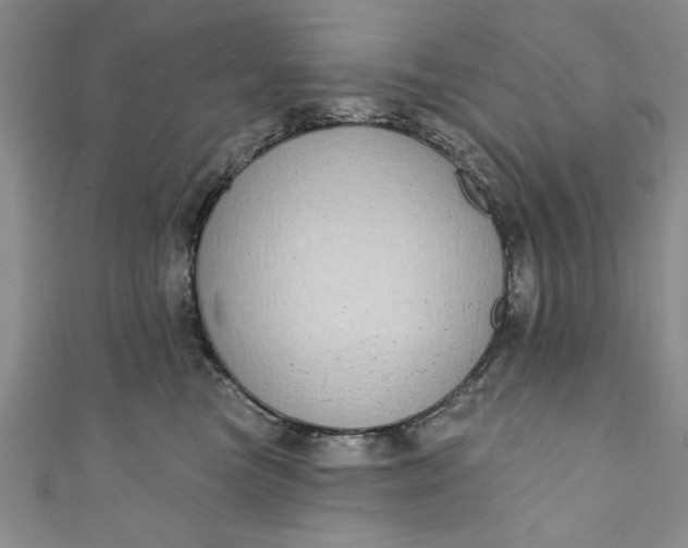 X0000110860473200907021419