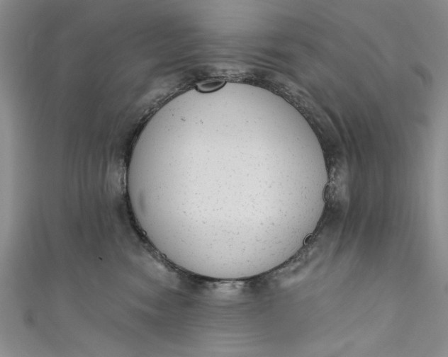 X0000110860474200907021419