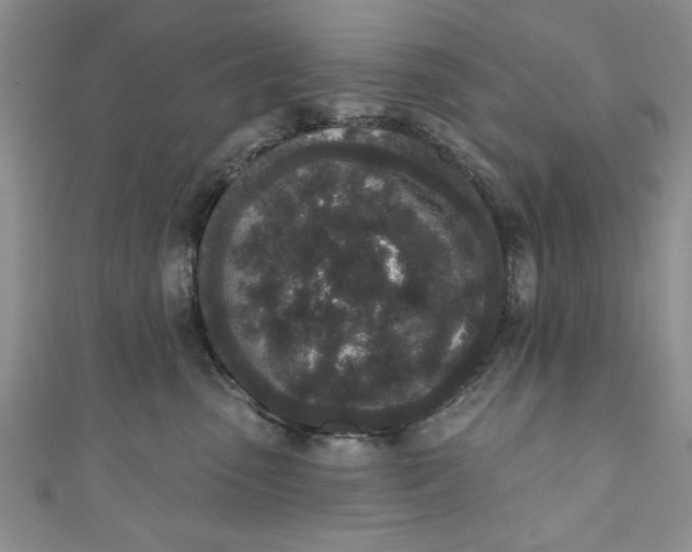 X0000110860475200907021419