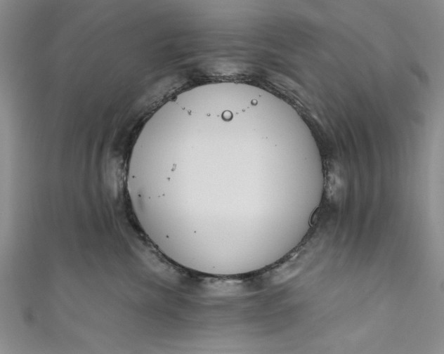 X0000110860476200907021419