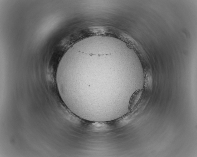 X0000110860477200907021419