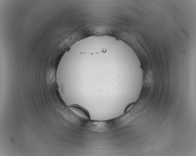 X0000110860478200907021419