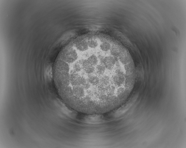 X0000110860479200907021419