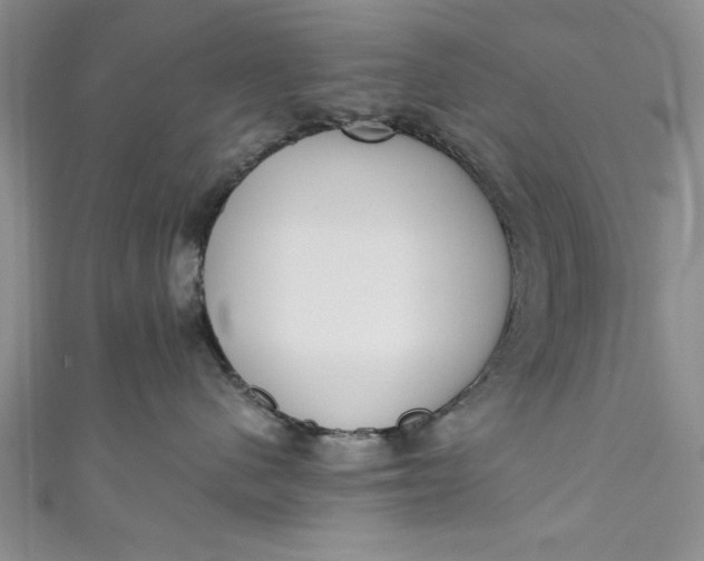 X0000110860480200907021419