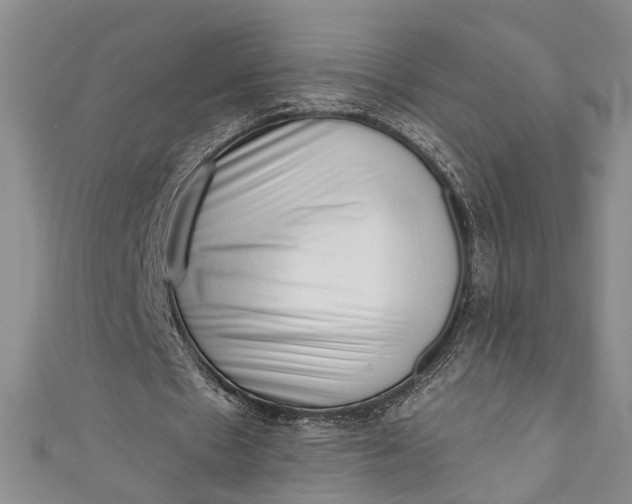 X0000110860481200907021419