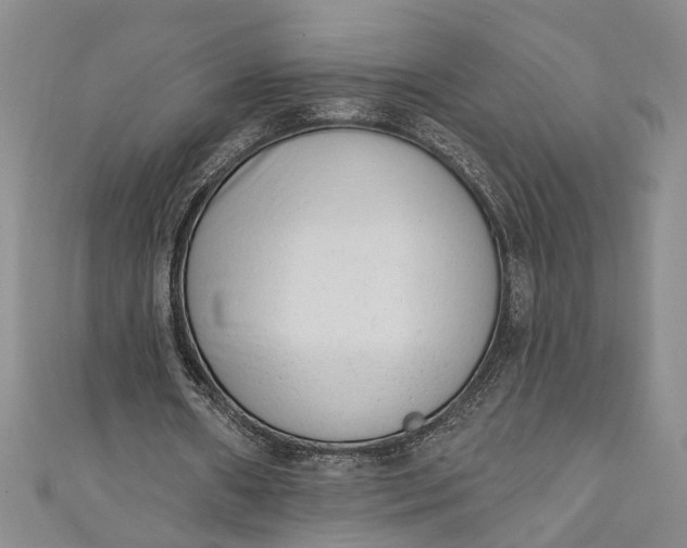 X0000110860482200907021419