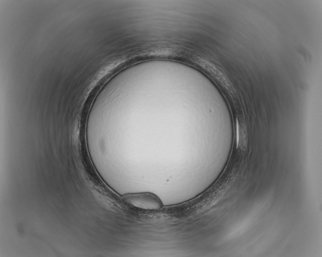 X0000110860483200907021419