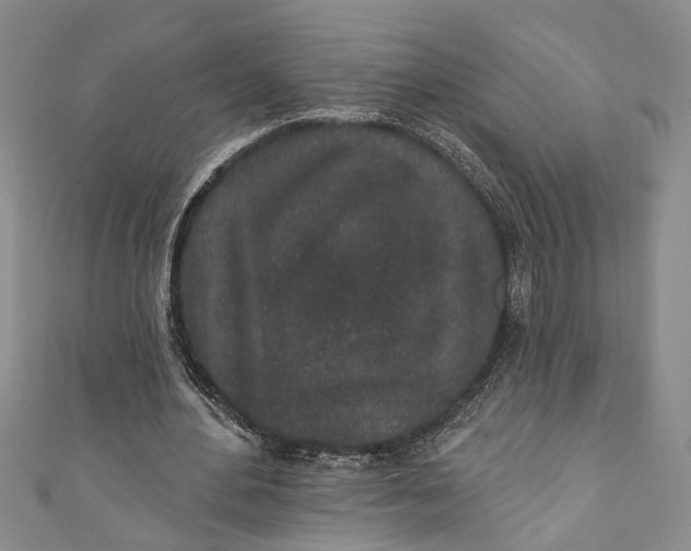 X0000110860484200907021419