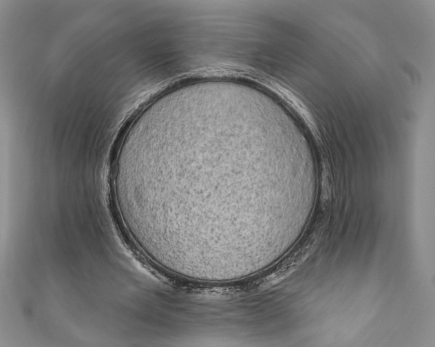 X0000110860485200907021419