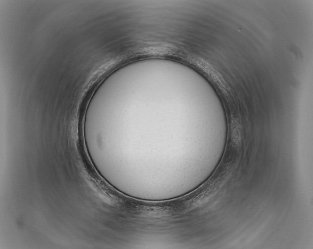 X0000110860486200907021419