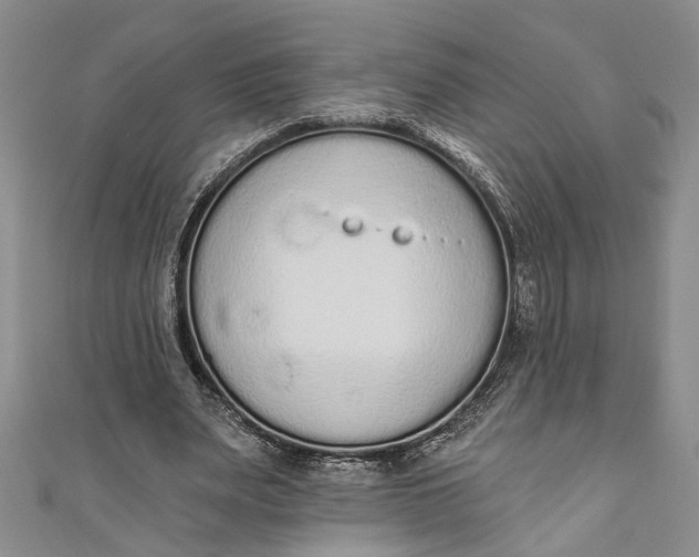 X0000110860487200907021419